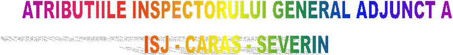 ATRIBUTIILE INSPECTORULUI GENERAL ADJUNCT A 
ISJ - CARAS - SEVERIN 