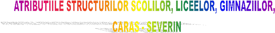 ATRIBUTIILE STRUCTURILOR SCOLILOR, LICEELOR, GIMNAZIILOR,  
 CARAS - SEVERIN 