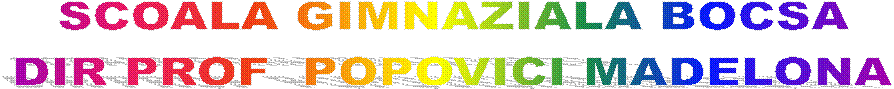 SCOALA GIMNAZIALA BOCSA
DIR PROF  POPOVICI MADELONA