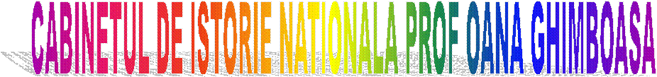 CABINETUL DE ISTORIE NATIONALA PROF OANA GHIMBOASA 