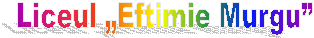 Liceul �Eftimie Murgu�