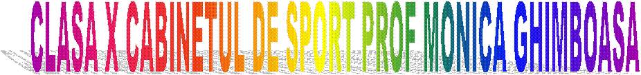 CLASA X CABINETUL DE SPORT PROF MONICA GHIMBOASA 