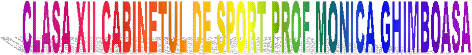 CLASA XII CABINETUL DE SPORT PROF MONICA GHIMBOASA 