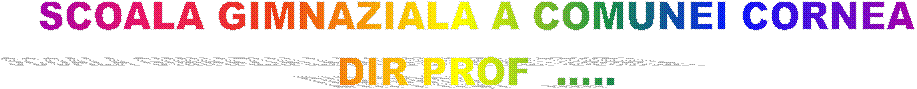 SCOALA GIMNAZIALA A COMUNEI CORNEA
DIR PROF  .....