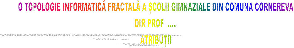 O TOPOLOGIE INFORMATICĂ FRACTALĂ A ȘCOLII GIMNAZIALE DIN COMUNA CORNEREVA
DIR PROF  .....
ATRIBUȚII