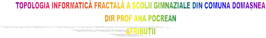 TOPOLOGIA INFORMATICĂ FRACTALĂ A ȘCOLII GIMNAZIALE DIN COMUNA DOMAȘNEA
DIR PROF ANA POCREAN
ATRIBUȚII