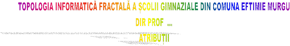 TOPOLOGIA INFORMATICĂ FRACTALĂ A ȘCOLII GIMNAZIALE DIN COMUNA EFTIMIE MURGU
DIR PROF  ...
ATRIBUȚII