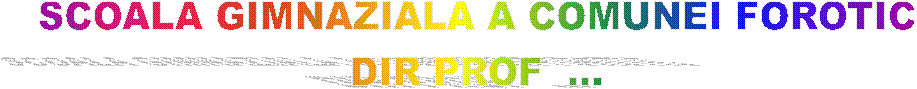 SCOALA GIMNAZIALA A COMUNEI FOROTIC
DIR PROF  ...