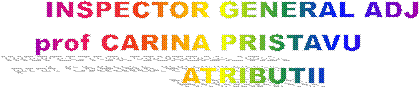 INSPECTOR GENERAL ADJ
 prof CARINA PRISTAVU         
      ATRIBUTII 