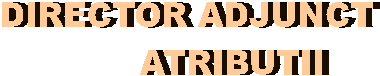 DIRECTOR ADJUNCT
        ATRIBUTII