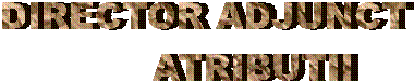 DIRECTOR ADJUNCT
        ATRIBUTII