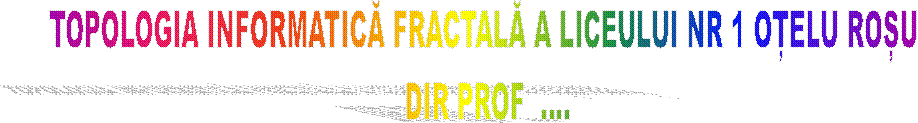 TOPOLOGIA INFORMATICĂ FRACTALĂ A LICEULUI NR 1 OȚELU ROȘU
DIR PROF ....