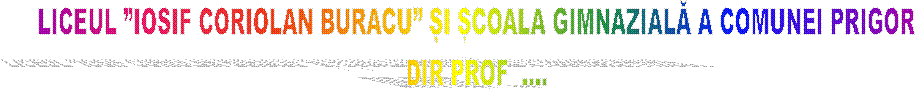LICEUL �IOSIF CORIOLAN BURACU� ȘI ȘCOALA GIMNAZIALĂ A COMUNEI PRIGOR
DIR PROF  ....