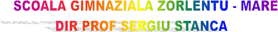 SCOALA GIMNAZIALA ZORLENTU - MARE
DIR PROF SERGIU STANCA  