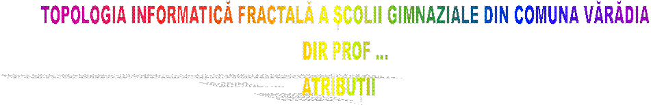 TOPOLOGIA INFORMATICĂ FRACTALĂ A ȘCOLII GIMNAZIALE DIN COMUNA VĂRĂDIA
DIR PROF ...
ATRIBUȚII   