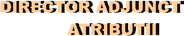 DIRECTOR ADJUNCT
        ATRIBUTII