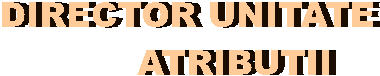 DIRECTOR UNITATE
        ATRIBUTII
