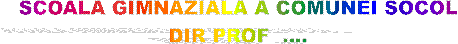 SCOALA GIMNAZIALA A COMUNEI SOCOL
DIR PROF  ....
