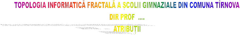 TOPOLOGIA INFORMATICĂ FRACTALĂ A ȘCOLII GIMNAZIALE DIN COMUNA T�RNOVA
DIR PROF  ....
ATRIBUȚII