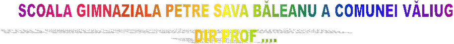SCOALA GIMNAZIALA PETRE SAVA BĂLEANU A COMUNEI VĂLIUG
DIR PROF ....